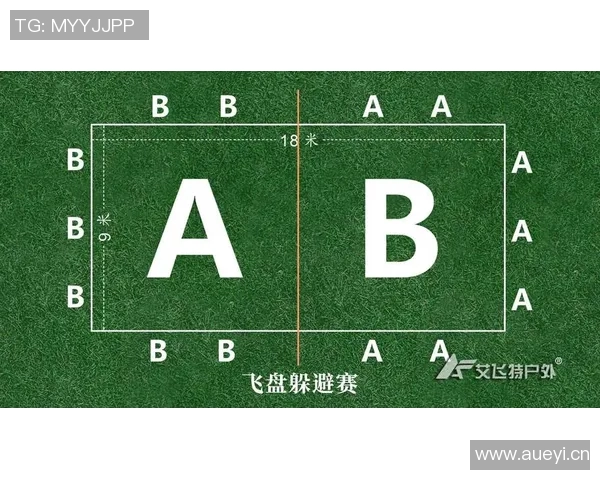 深圳飞盘队在极限运动会中的战术分析与表现评估